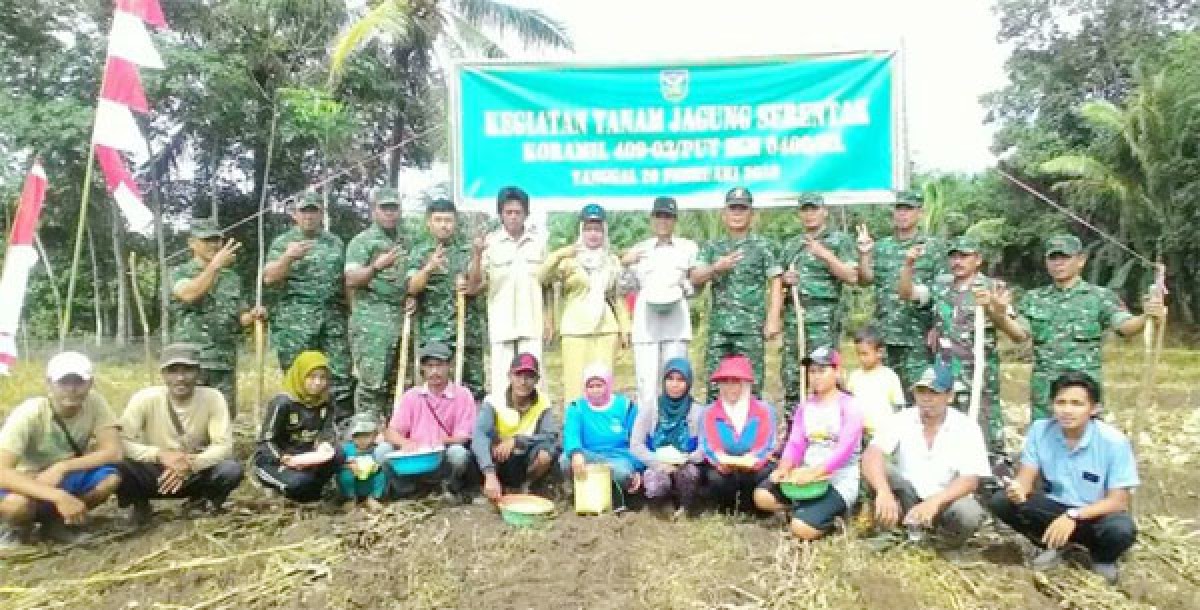 TNI Tanam Jagung Serentak