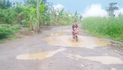 Jalan Desa Pengambang Berlobang Dan Digenangi Air