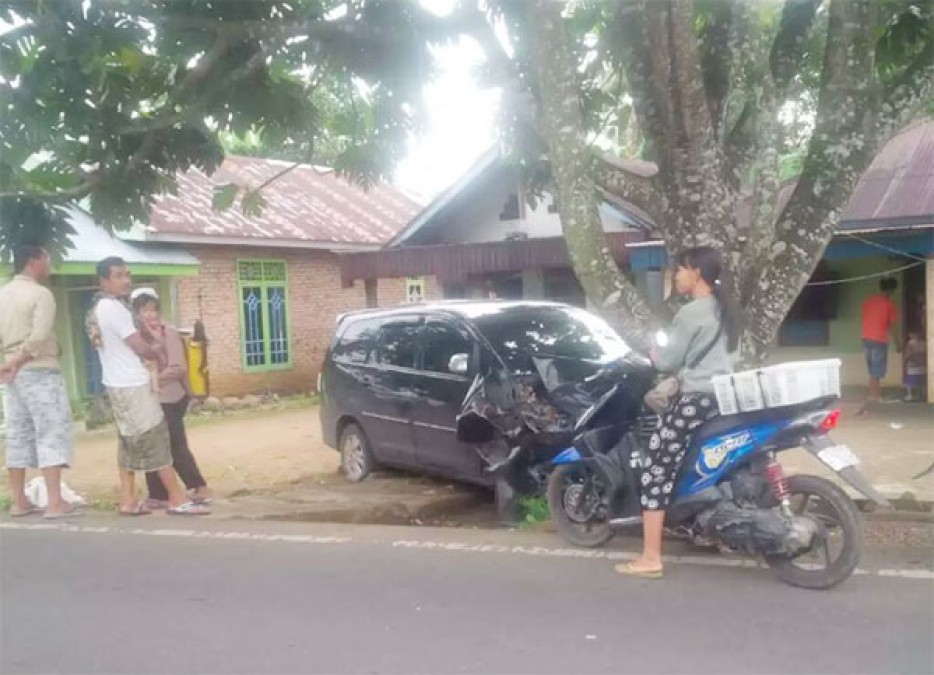 Diduga Sopir Ngantuk, Kijang Inova Seruduk Pohon Sukun ‎