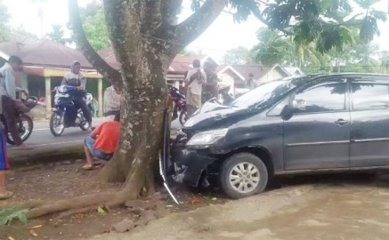 Kijang Innova Plat Merah Tabrak Pohon