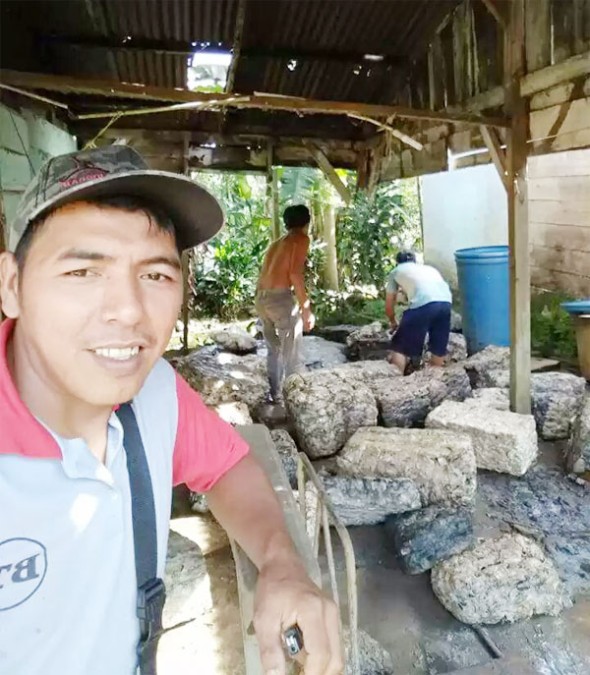 Harga Karet Anjlok Petani Menjerit ‎
