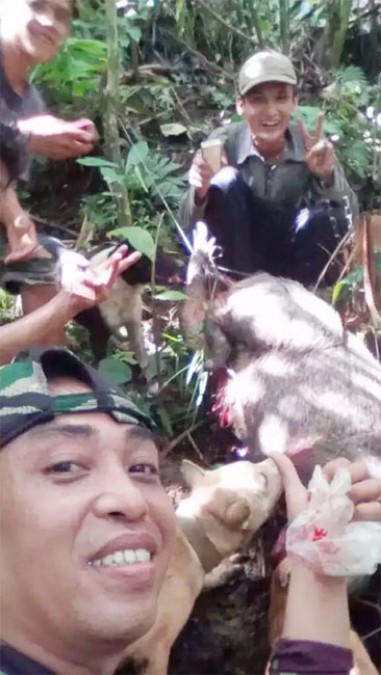 Bantu Petani Basmi Hama, Warga Galakkan Berburu Babi