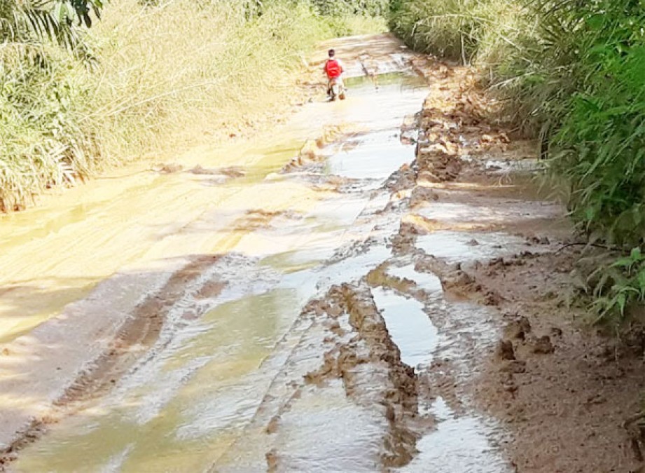 Jalan SP 9 Desa Bangun Jaya Berlumpur