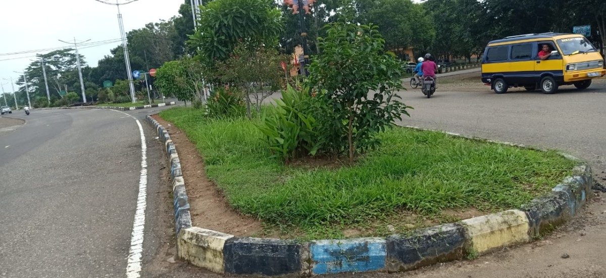 APH Diminta Selidiki Anggaran Pemeliharaan Taman