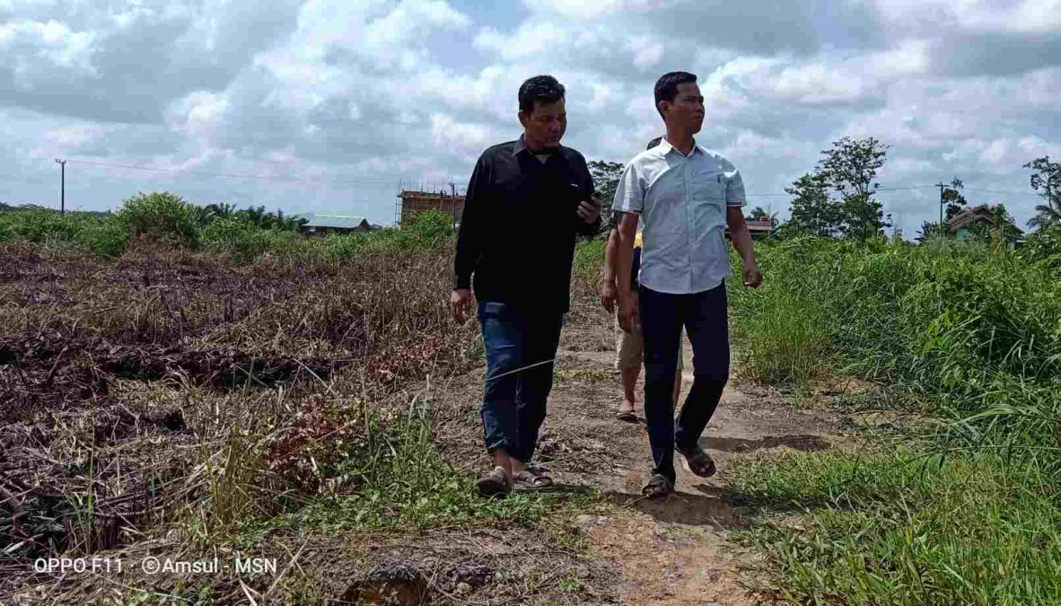 Menyulap Lahan Gambut Jadi Kebun Cabai