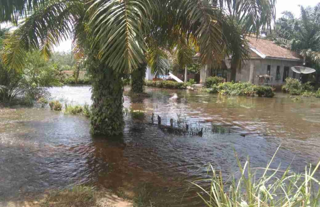 Rumah Warga Terendam Banjir