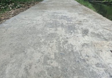 Belum Lama Dibangun, Jalan Setapak Mulai Mengelupas
