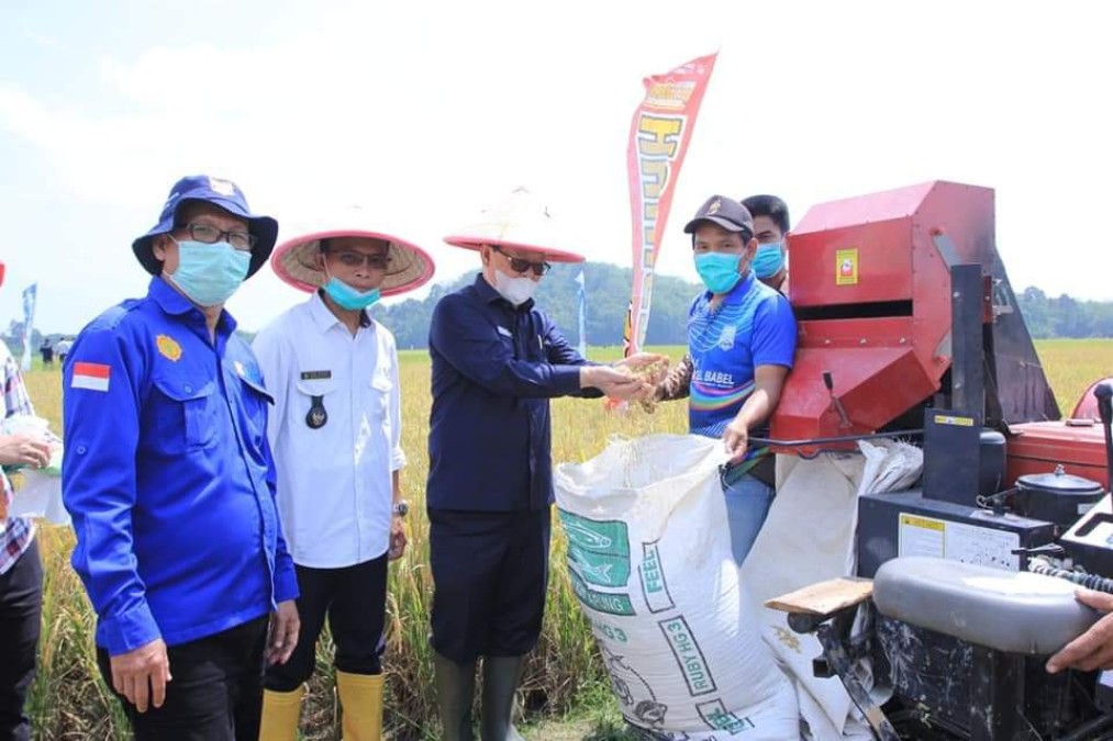 Hasil Panen di Bukit Langkap Meningkat