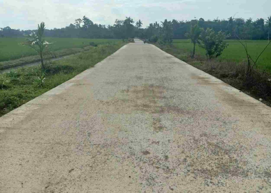 Belum Lama Dibangun, Jalan di Desa Karyadadi Mulai Rusak