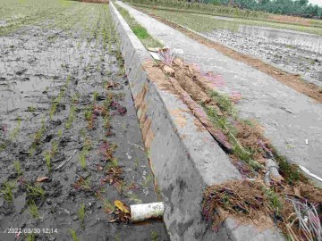 Tinggi Pembangunan Talud Desa Rejosari Diduga Bervariasi